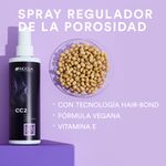 CC2_Spray_Equalizador_de_la_porosidad_servicio.jpg