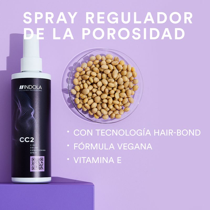 CC2_Spray_Equalizador_de_la_porosidad_servicio.jpg