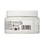 Indola_Intense_Repair_Mask_250ml_4067971052489_211__HighRes_RGB